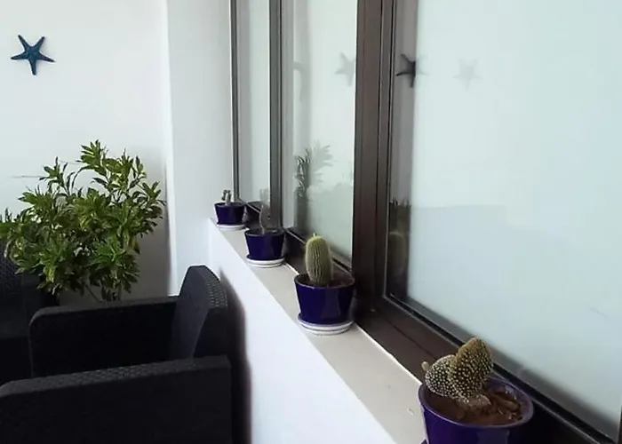 アパート Moderno Frente Al Mar プエルト・デ・ラ・クルス