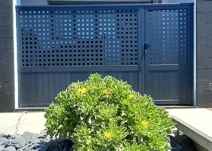 Moderno Frente Al Mar アパート